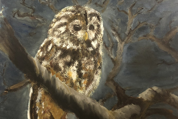 Owl